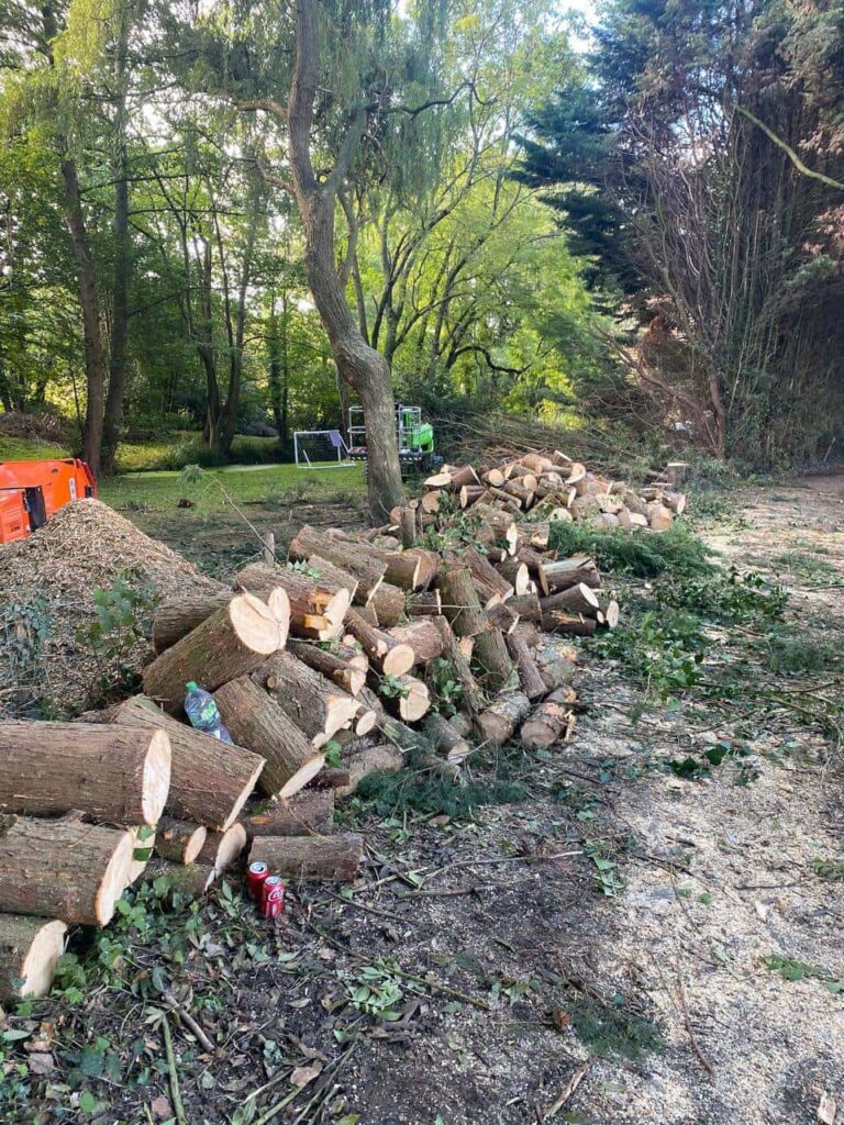 This is a photo of an overgrown large garden, which is in the process of having tree removal. The photo shows a stack of logs along the left hand side, from all the trees which are being removed. Photo taken by Loddon Tree Surgeons